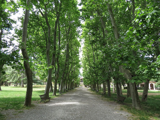 Park of Villa Fabbricotti, Children's Library, Livorno