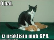 Oh hi! I'm practicing my CPR.