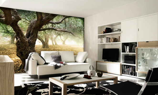 Nature Wallpaper Murals