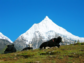 Trekking Tours in Bhutan