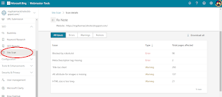 Bing Webmaster Tool Site Scan Report