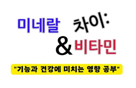 미네랄과 비타민의 차이, 기능과 건강에 미치는 영향 공부
