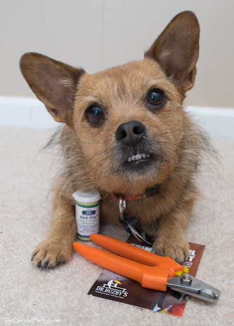 Dr. Buzby's Nail Trimming Kit