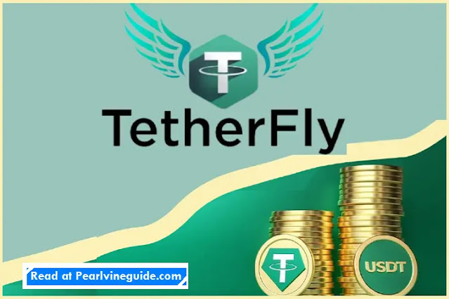 tetherfly register tetherfly business plan