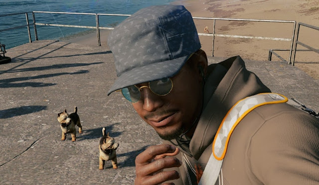 WatchDogs2 - 2 Dogs Watched