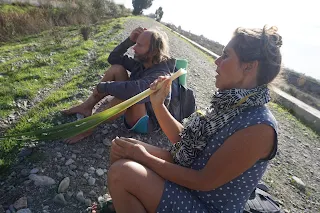 Murielle and I sit on a road, Murielle eats the Cattails