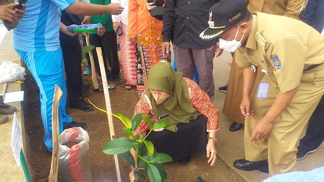 Hari Pohon Sedunia. SMAN 8 Depok Hijaukan Setu Cilodong