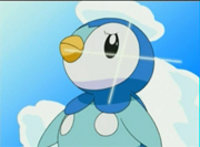 ¡Entrenando a Piplup!