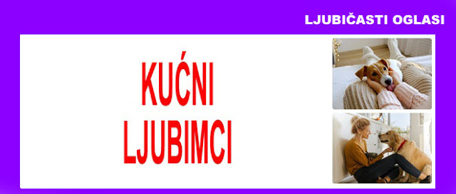 9. KUĆNI LJUBIMCI LJUBIČASTI OGLASI