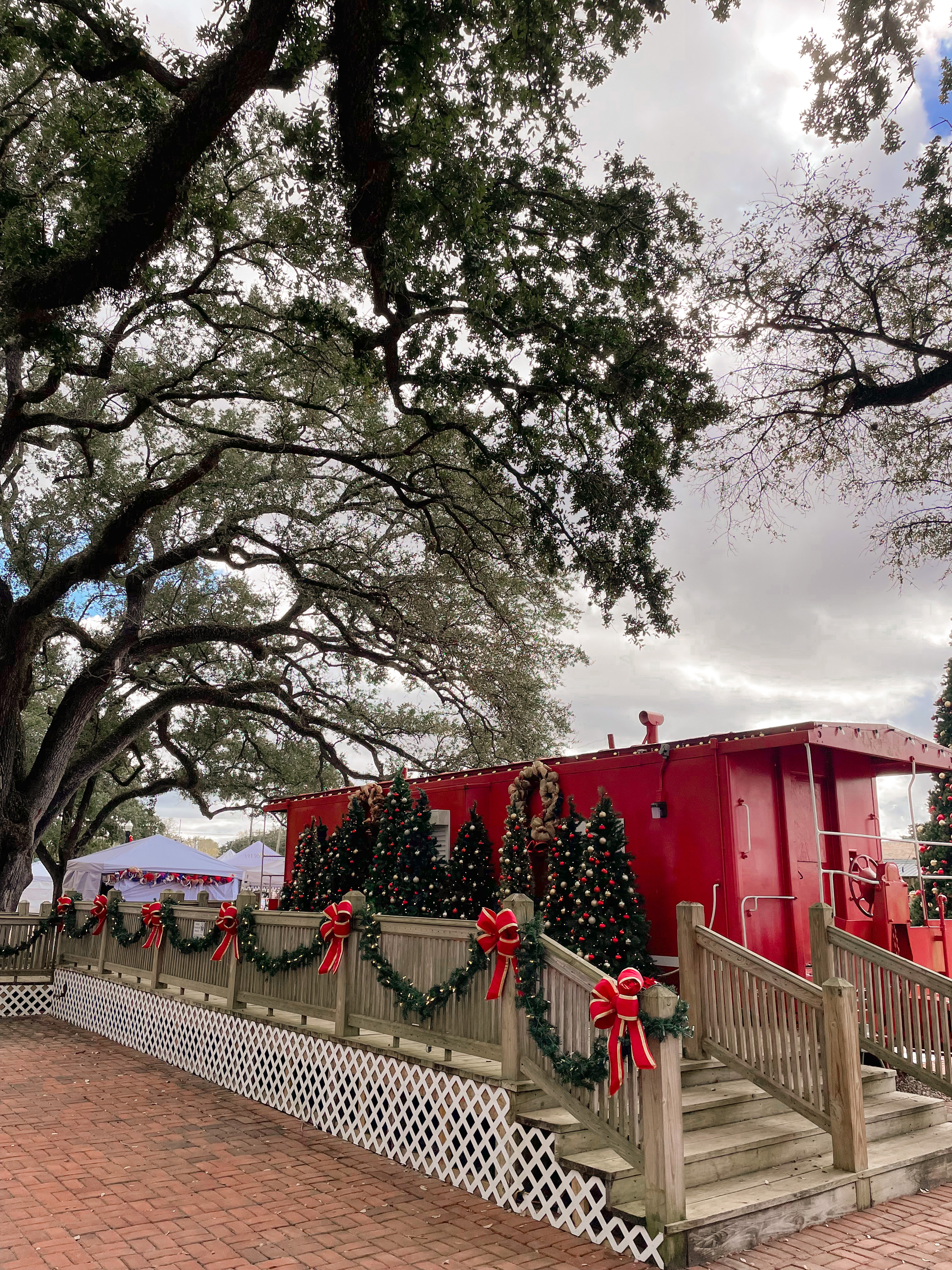 Christmas trees at League Park in League City