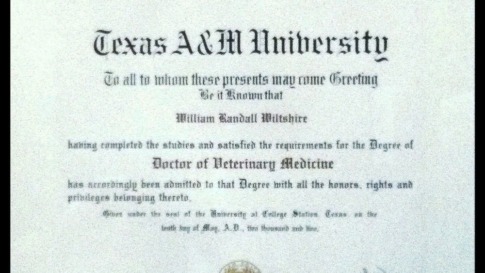 Doctor Of Medicine - Doctor Of Medicine Degree