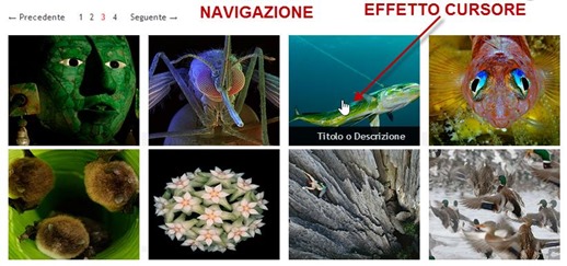 galleria-immagini-navigazione
