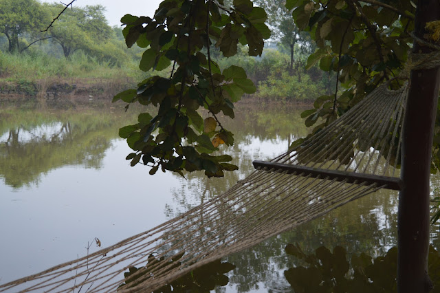 Relaxation at Saguna Baug