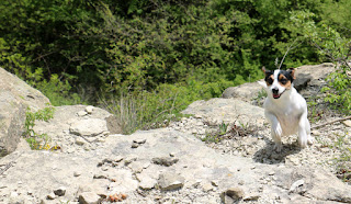 Louise climbs back up at the overlook