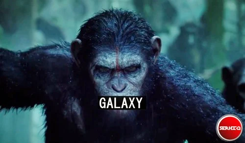 Dawn-of-The-Planet-of-The-Apes-1