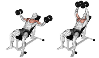 Muscular Chest : 5 best exercise for Big and Shredded Chest