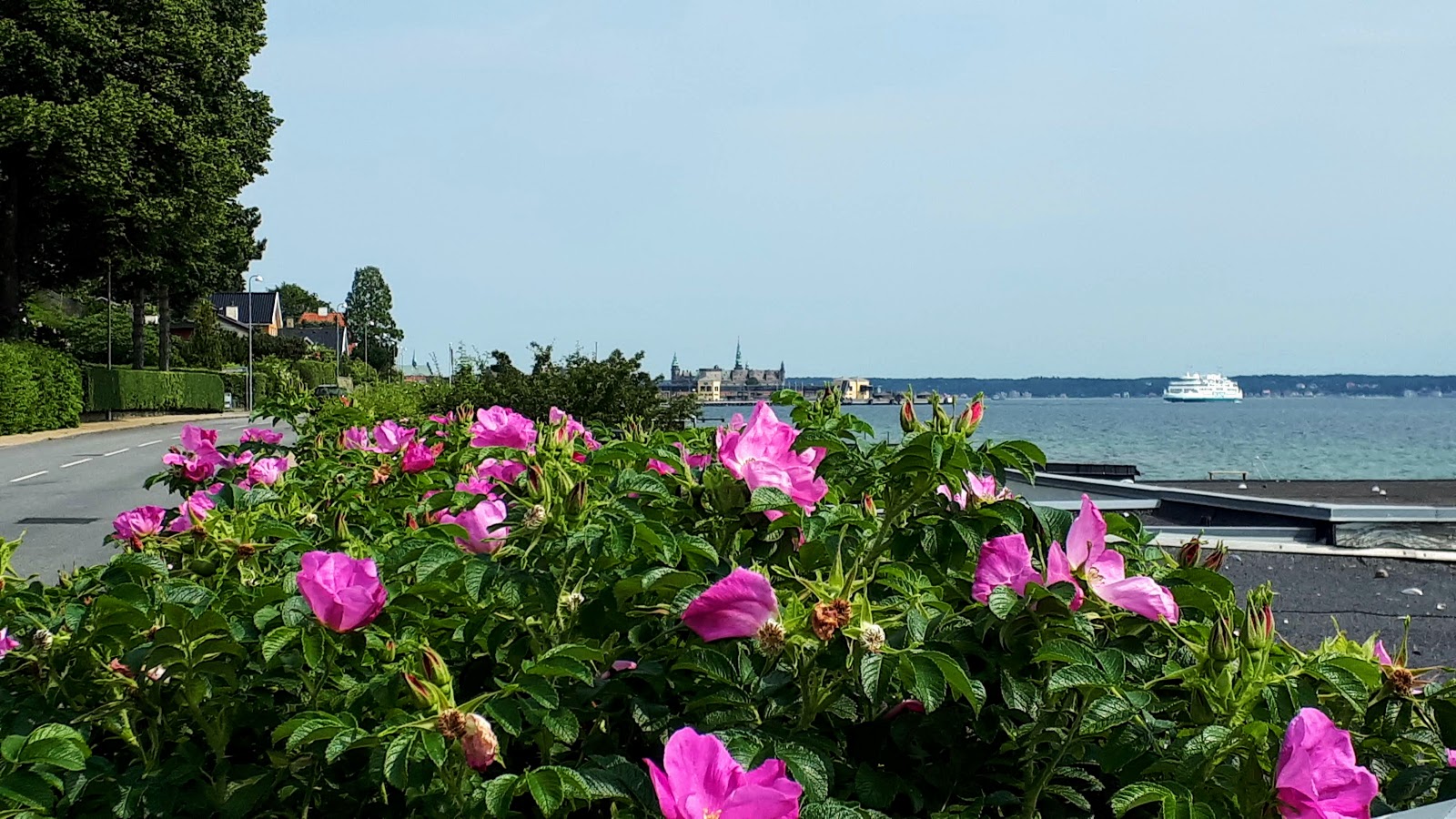 Circuit de vélo Nord du Danemark et Copenhague