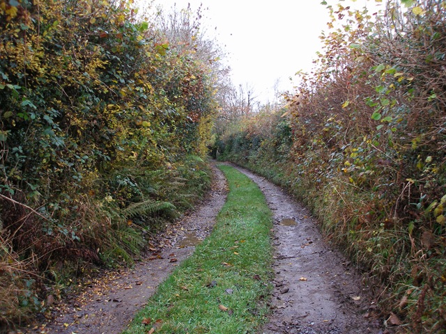 16th_november_08