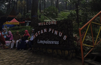 Hutan Pinus Limpakuwus Baturaden