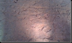 IMAG0594 (Small)