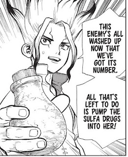 Runa Aviena - Senku Dr Stone once we know its name