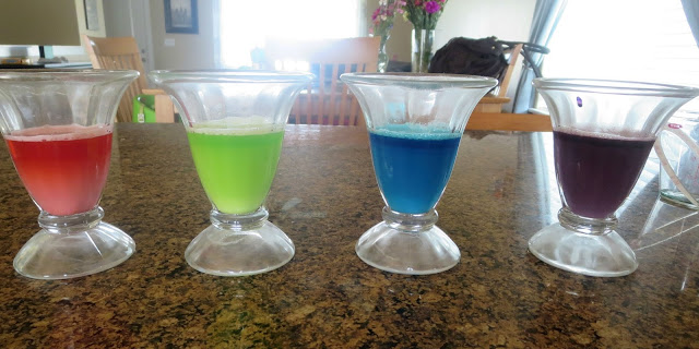 Color Explosions--Watch your kids faces when they do this fun and simple experiment using household ingredients!