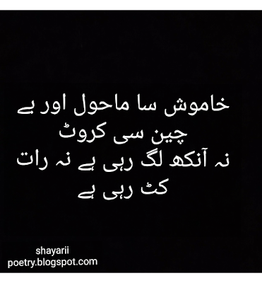 love shayari // best urdu hindi poetry collection