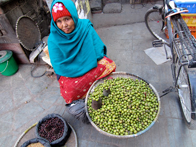 Lists of most common fruits of Nepal