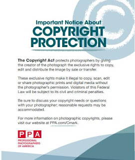 copyright, do not copy, do not edit, do not scan, illegal, PPA, protection