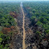 150% more deforestation in the Amazon in the last month of Bolsonaro's term