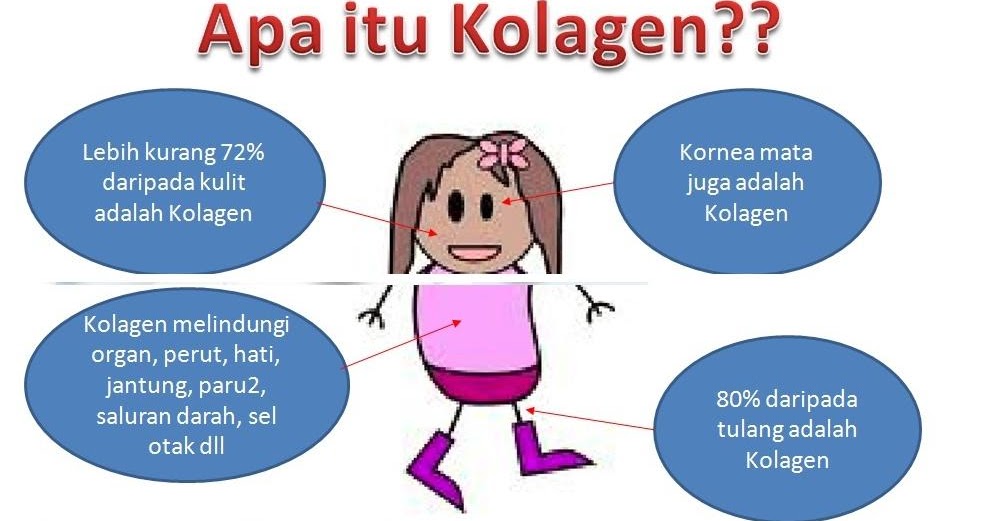 zetynara: APA ITU KOLAGEN?