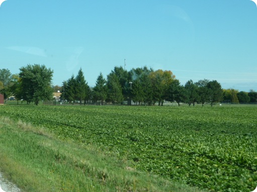 Algonac to Linwood MI 073