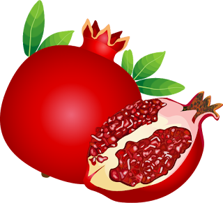 Nutrition facts of Pomegranate