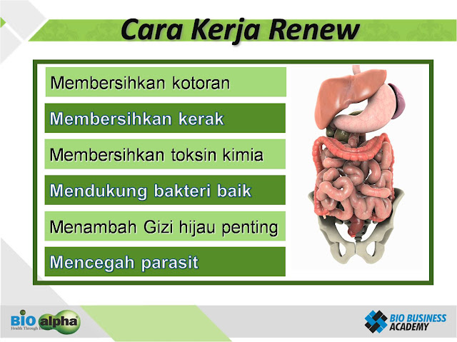 http://mybioalpha.blogspot.com/2012/12/berikut-ini-vidio-tentang-ba-hayanya.html