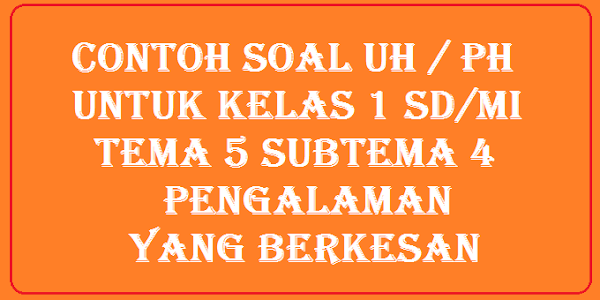 Contoh Soal UH / PH untuk kelas 1 SD/MI Tema 5 Subtema 4 Pengalaman yang Berkesan