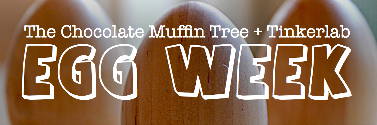 The Chocolate Muffin Tree: The Transparent and Bouncy Egg Experiment