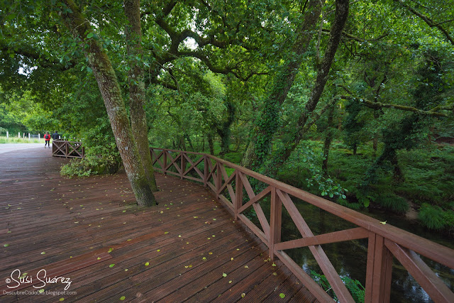 Sendero azul y playa fluvial de A Calzada