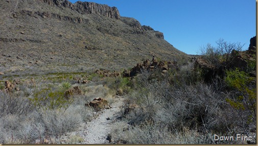 Big Bend Ranch State park_017