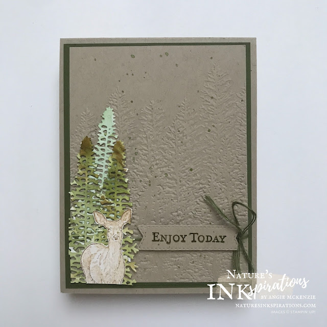 By Angie McKenzie for As You See It #245 Challenge entry; Click READ or VISIT to go to my blog for details! Featuring the Nature's Beauty Stamp Set, the Majestic Mountain Dies and the Evergreen Forest 3D Embossing Folder; #AYSI245 #stampinup #handmadecards #naturesinkspirations #masculinecards #cardchallenges #goodmorningmagnoliastampset  #makingotherssmileonecreationatatime #naturesbeautystampset #evergreenforest3dembossingfolder #tastefullabelsdies #coloringwithwaterpainters #cardtechniques #fussycutting