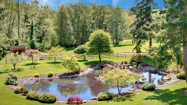 From Ground to Greatness | Your Ultimate Pond Installation Guide