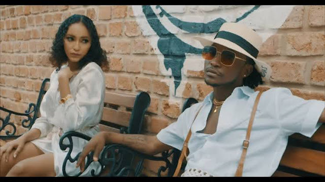 Download Video Mp4 | Barnaba ft Diamond platnumz - Hadithi