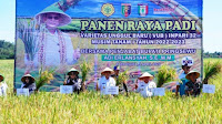 Panen Raya Padi Varietas Baru, Produktivitas Inpari 32 Capai 8,42 Ton GKG/Ha