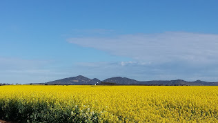 Big Rock Walk, You Yangs