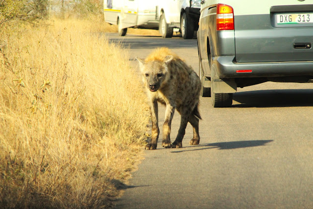 Sudafrica%202022%20(reflex%201)_27%20Ago