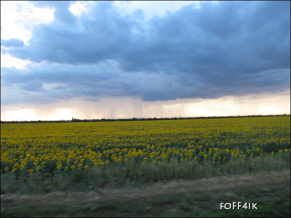 Дальнобой по Украине лето июль 2012 фото