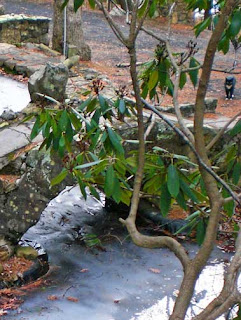 stone bridge at pond