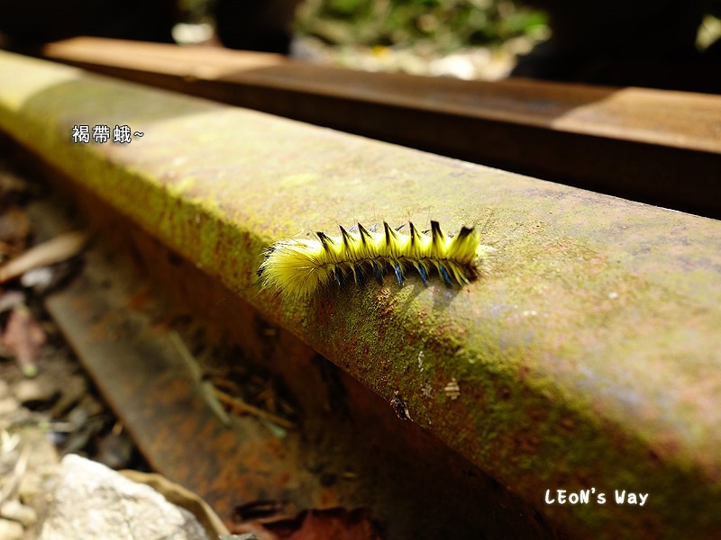 blog_045