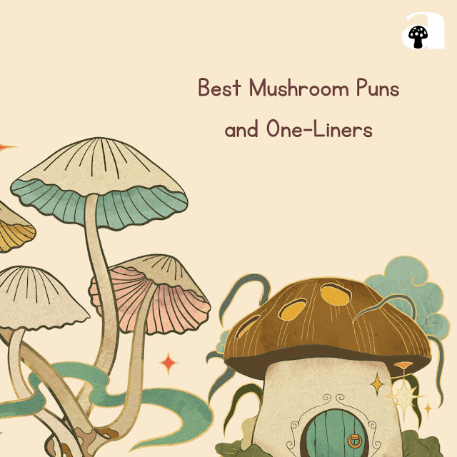 mushroom puns, jokes and one-liners_4