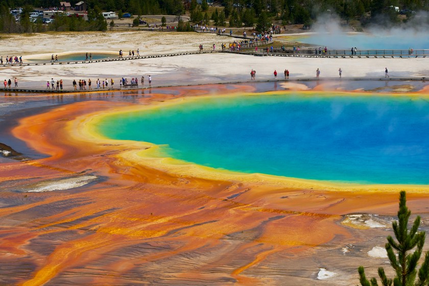 things to know before visiting yellowstone park