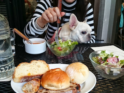 √画像をダウンロード 中 目黒 犬 カフェ 119202-中目黒 犬 カフェ